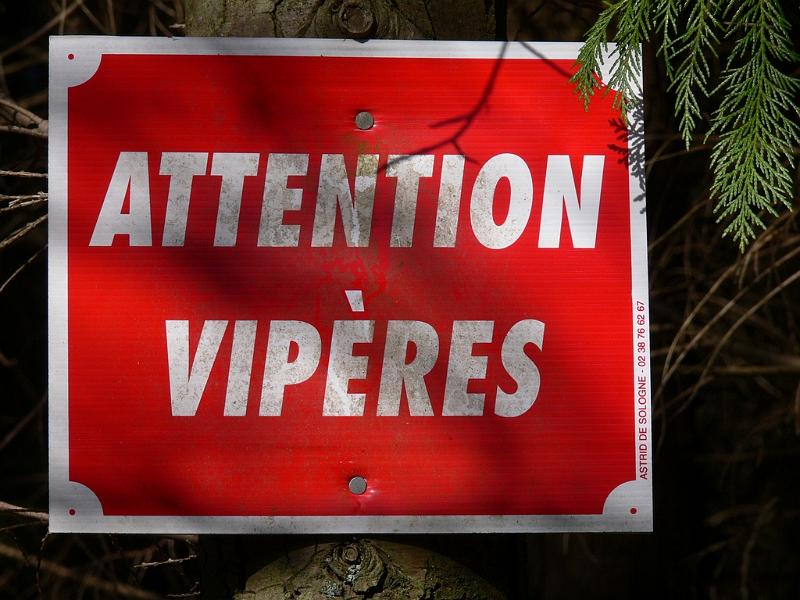 Mont Saint Michel 2010 - 066.jpg